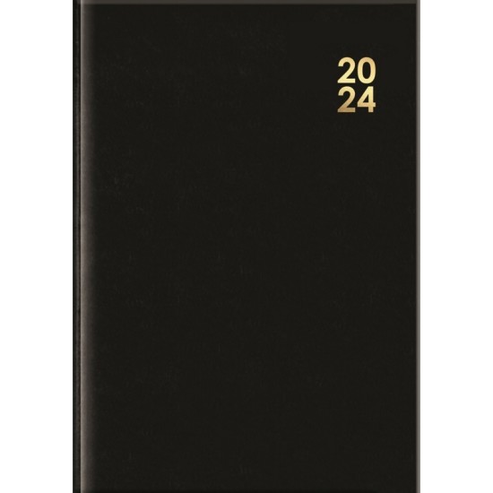 Diary A6, 2024 Week To View Bound 3 Assorted Colours